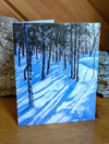 There's a place on the Mount Willard Trail where it goes around a sharp corner and continues on up a gentle slope to the overlook. Hiking this bit late in the day, the sun rakes through the trees and stretches the shadows of balsam and beech down the slope, creating stripes of blue and white on the snow. It is a quiet, magic time of day, when sunset isn't all that far away, but you can still make it to the top and hike down in the glowing sunset.