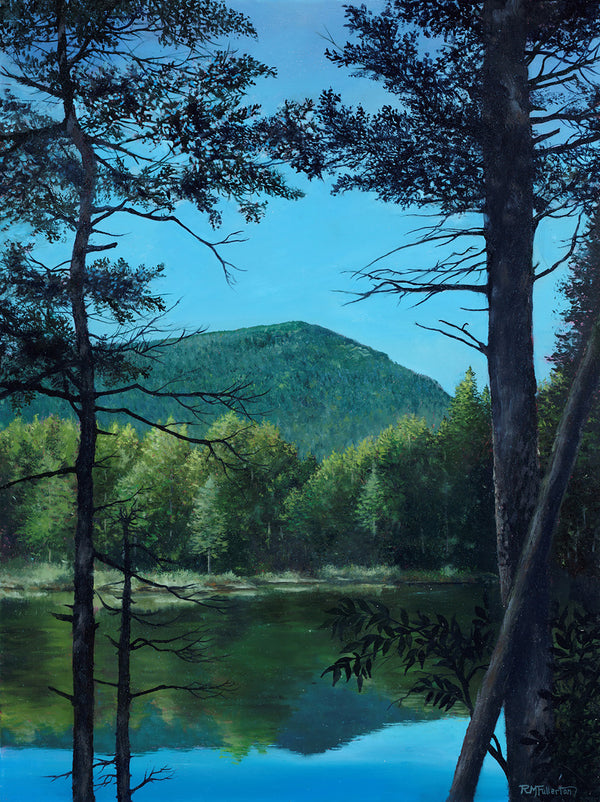 The profile of Mount Webster as you approach from the west is distictive. It looms over Crawford Notch and looks gorgeous framed by tall pines along the shore of tiny Ammonoosuc Lake. Small 4x5½" greeting cards. High quality prints of paintings on archival felted cardstock. Certified by the Forest Stewardship Council.