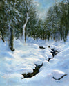 Imagine the quiet sparkle of sunlight through bare trees on fresh-fallen snow. The gentle murmur of a hidden stream that peeks through here and there. Birch, fir and maple mark the edges of the stream. And the single track of some unknown creature meandering by. I love these little quiet places in the winter woods.