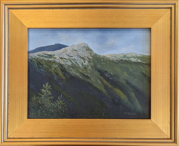 As you break above treeline on the Crawford Path you can see the way ahead to Mount Washington, along with all the summits you must traverse to get there. Monroe is the final peak to be crossed (or walked around!) and it rises up like a horn of stone in front of Washington's building-topped peak. 9 x 12 inch oil on panel painting framed in a 14 x 17 inch gold-toned, wood frame signed by the artist wired and ready to hang