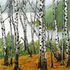 I painted these beautiful lakeside birches on a cloudy, misty day deep in the woods of Maine. Like many people, I love birches for the way they stand out in the forest; their white bark glowing, even when the sun's not out. Square 5"x5" greeting cards on high quality archival felted cardstock. Certified by the Forest Stewardship Council. Envelopes are included.