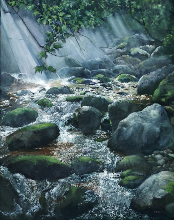 "Spring Brook After Rain," is a 16 x 20 inch fine art print depicting Spring Brook in Wonalancet, New Hampshire after the rain soaked me through on the trail I was hiking. In the blink of an eye the sun was back out, pouring through the dripping leaves and sparkling on this swollen brook and its mossy boulders. It is printed on Hahnemühle Photo Rag, a 100% cotton paper with a smooth surface texture.