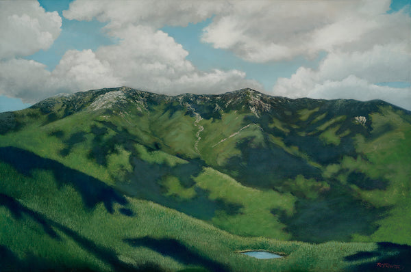 Franconia Ridge, beloved by millions of hikers, stands high above the Notch, in the path of storms and exposed to the wind and sun. Its incomparable beauty is only enhance by clouds passing over it, casting shadows over its rocky ridges and forested slopes.