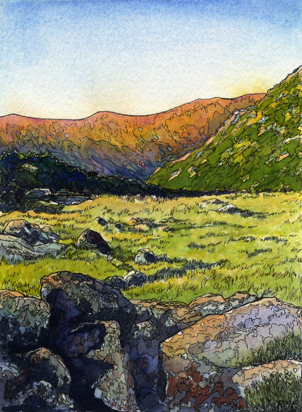 Summer Adventures and New Work