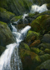 Waterfall cascading down mossy rocks in a forest setting
