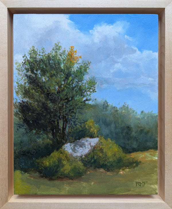 A single tree limb turns bright orange on a green tree as the first bit of autumn foliage.