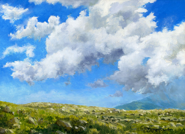 White Mountains alpine plaine with green vegetation and mountains under a blue sky with large white clouds.