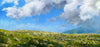 An oil painting on panel depicting a landscape with grassy field and clouds in the sky, signed by an artist.