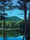 An oil painting depicting a view of Mount Webster over Ammonoosuc Lake, framed in a hardwood float frame, with trees in the foreground and mountains in the background.