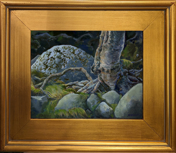 "Roots and Rocks" is an 8 by 10 inch oil painting on panel by Rebecca M. Fullerton, depicting gray, granite rocks, green grasses and moss, and the twisting roots of a silver birch.