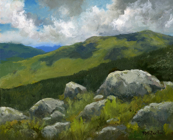 Painting of a mountain landscape with rocks and grass under a cloudy sky.