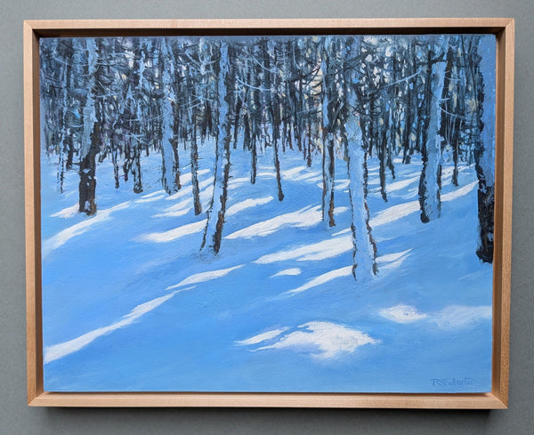"Sun Streaming Through" 11x14 inch oil painting on panel (Copy) (Copy) (Copy)