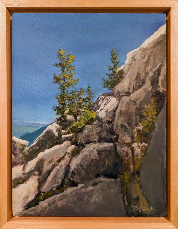 The slanting light of early morning and late afternoon is always the most dramatic. This little vignette is painted from a scene that I came upon while hiking up Mount Chocorua early one day after staying overnight at Jim Liberty Shelter. After a night of rain and clouds, the sky way perfectly blue, the air still and chilly. Picturesque groups of trees clung to the mountain all the way up the west side of the rocky cone. They were slowly touched by sun as it climbed up from the east.