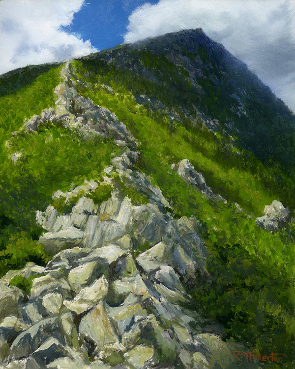 Stairway to heaven on a mountain with greenery and blue sky