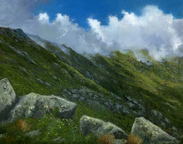 "Where Cloud Shadows Rest Like Thoughts" 11x14 inch oil painting on panel