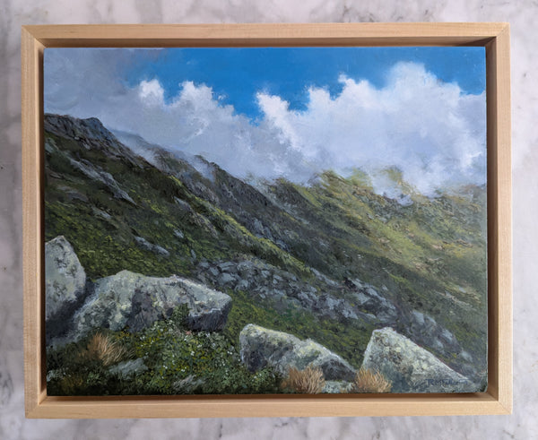 "Where Cloud Shadows Rest Like Thoughts" 11x14 inch oil painting on panel