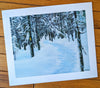 "The Yellow Blaze" is a scene of winter on the trail: full of white, blue and black. Any pop of color stands out. This was the scene on the Avalon Trail in New Hampshire's White Mountains. Magic, marshmallow trees line the trail and there, on a tree, is an occasional yellow blaze. This is an 8x10 inch fine art print is on Hahnemühle Photo Rag paper.