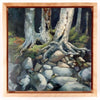This is a framed view of "Riverbank Boulders," a 10 by 10 inch oil painting on panel by Rebecca M. Fullerton, depicting riverbank rocks and the roots of birch and hardwood trees climbing down over them. Sunlight strikes green mosses at the base of the trees, and the rocks in sunlight are many shades of gray, beige and ochre.