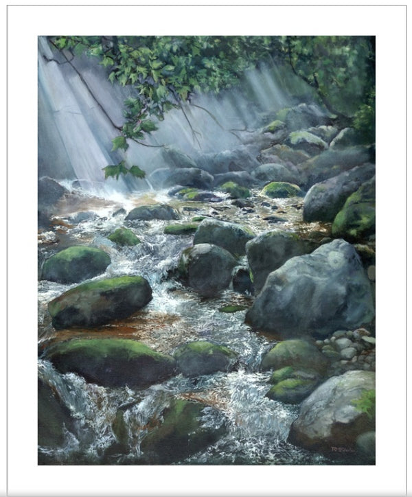 "Spring Brook After Rain," is a 16 x 20 inch fine art print depicting Spring Brook in Wonalancet, New Hampshire after the rain soaked me through on the trail I was hiking. In the blink of an eye the sun was back out, pouring through the dripping leaves and sparkling on this swollen brook and its mossy boulders. It is printed on Hahnemühle Photo Rag, a 100% cotton paper with a smooth surface texture.