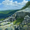 A Sheltered Oasis on Mount Washington.  Imagine yourself basking in the warm afternoon sun on a secluded rock ledge, high above the rugged peaks of Mount Washington. The wind whispers through the alpine plants, but you're sheltered from the elements in this hidden oasis. The artist's skillful brushstrokes capture the feeling of peace and tranquility that comes from finding a sanctuary in nature.