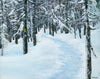 In winter the world of the trail is white, gray, blue and black. Any pop of color stands out. So it is with trail blazes. This was the scene along the Avalon Trail as it wends its way up toward the Willey Ridge in New Hampshire's White Mountains. Small 4"x5½" greeting cards with envelopes.