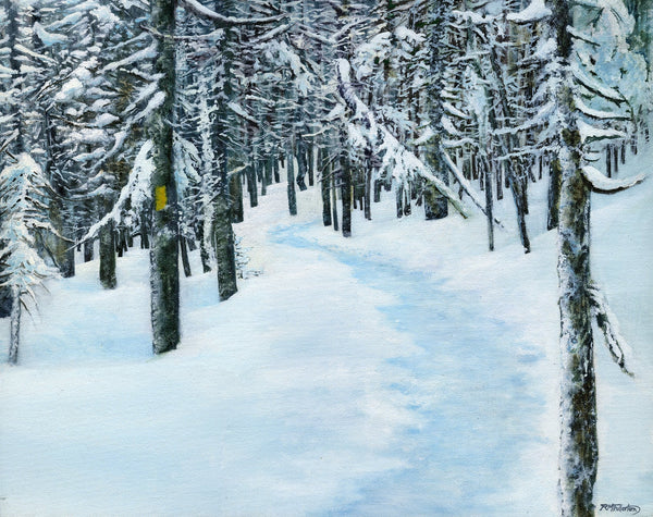 "The Yellow Blaze" is a 16 by 20 inch framed oil on canvas painting by Rebecca M. Fullerton, depicting a snowy trail through evergreen trees in winter. A single yellow trail blaze marks the way. From a scene in the White Mountain National Forest of New Hampshire.