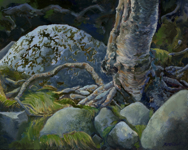 "Roots and Rocks" is an 8 by 10 inch oil painting on panel by Rebecca M. Fullerton, depicting gray, granite rocks, green grasses and moss, and the twisting roots of a silver birch.