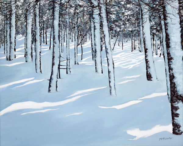 "Glades, Later Afternoon" is a 16 by 20 inch oil on canvas painting depicting snow covered trees in an open glade on a mountainside. Streaks of light filter in, illuminating patches of white snow among blue shadows.
