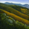 "Autumnal Slopes" is an 8 by 8 inch oil on panel painting depicting rows of mountain slopes festooned with the colors of autumn. Glowing yellows and oranges sweep down the mountains in front of a backdrop of blue peaks.