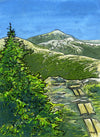 Mount Pierce is a great place to start when exploring the Presidential Range. One way up is the Crawford Path, the oldest continuously maintained trail in America. The route is mostly through forests, but once you reach treeline just before a side trail to Pierce's summit the views open up over the whole southern part of the Presidential Range.   5 by 7 inch watercolor and ink painting matted in white mat in a 12 x 15 inch birch wood frame; signed by the artist; wired and ready to hang