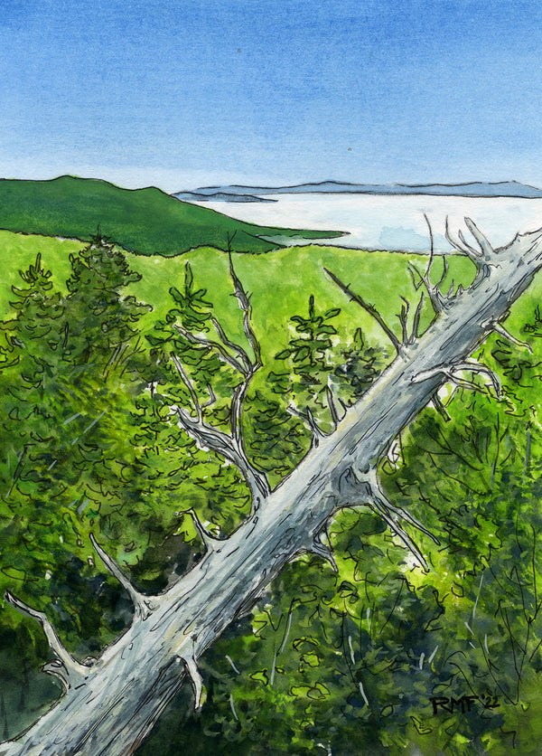 "In the Mountains" is a 5 by 7 inch watercolor and ink painting of the view from Mount Jefferson in New Hampshire. A sun-bleached deadfall tree crosses the foreground, and thick layer of undercast clouds covers the valleys below.